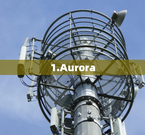 1.Aurora