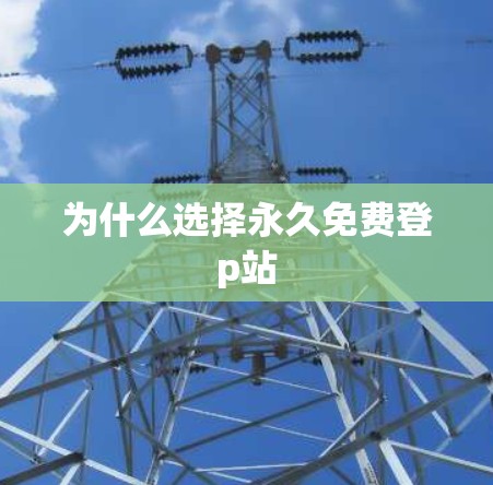 为什么选择永久免费登p站