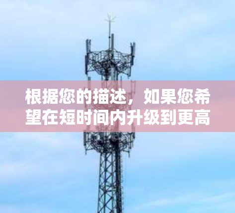 根据您的描述，如果您希望在短时间内升级到更高级的加速器版本，可以考虑以下几种方法