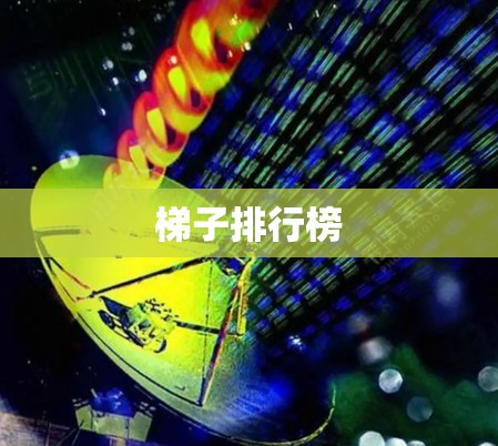 梯子排行榜