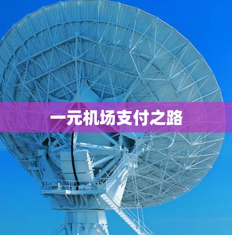 一元机场支付之路