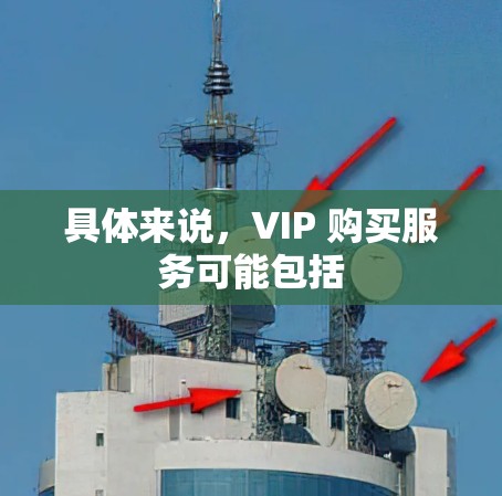 具体来说，VIP 购买服务可能包括