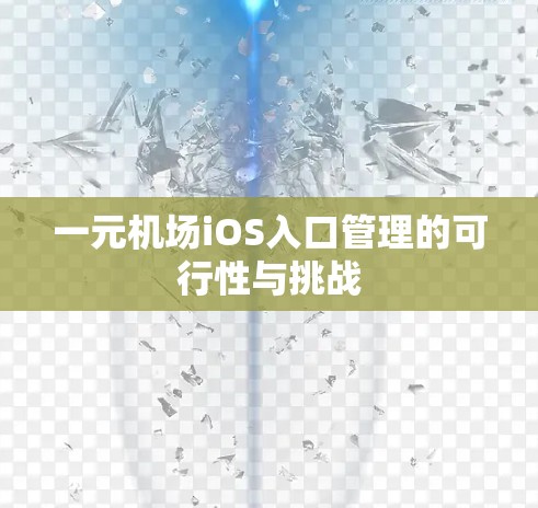 一元机场iOS入口管理的可行性与挑战