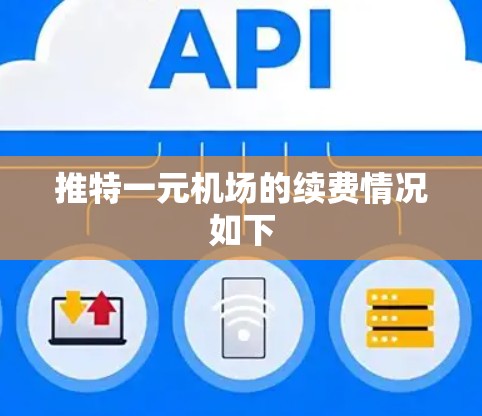 推特一元机场的续费情况如下