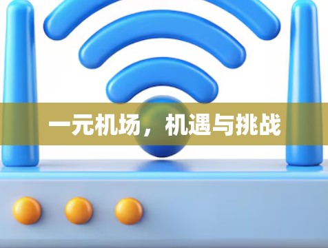 一元机场，机遇与挑战