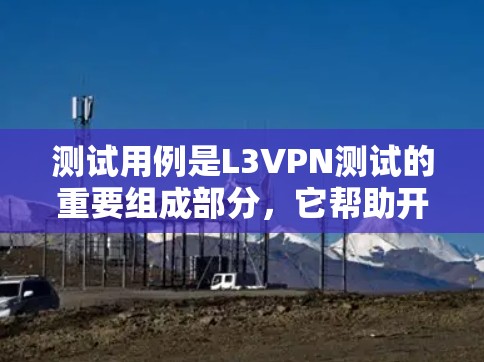 测试用例是L3VPN测试的重要组成部分，它帮助开发者和用户了解配置和测试流程，确保L3VPN能够正常运行。以下是对测试用例的详细分析