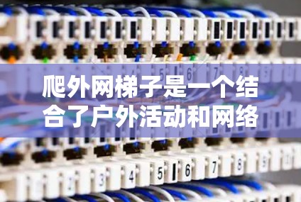 爬外网梯子是一个结合了户外活动和网络设备使用的小型设备。以下是关于爬外网梯子的详细说明 爬外网梯子是一个结合了户外活动和网络设备使用的小型设备。以下是关于爬外网梯子的详细说明