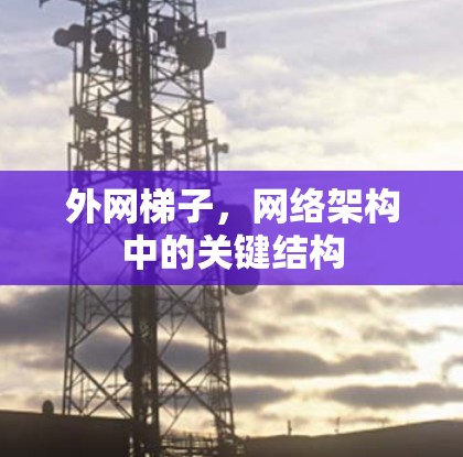 外网梯子，网络架构中的关键结构