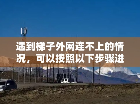 遇到梯子外网连不上的情况，可以按照以下步骤进行处理