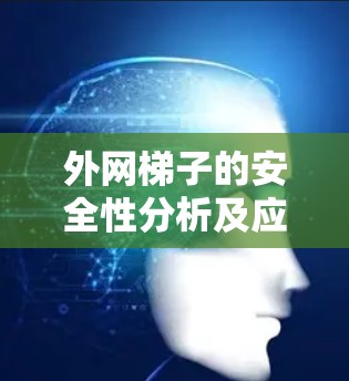 外网梯子的安全性分析及应对策略