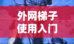 外网梯子使用入门指南