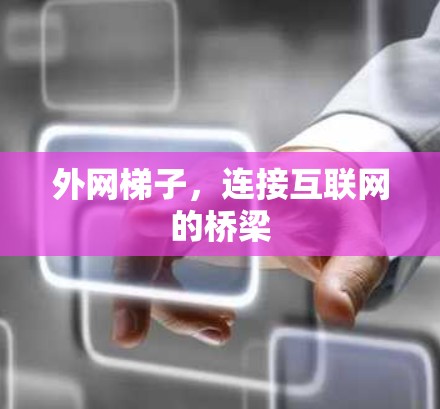 外网梯子，连接互联网的桥梁