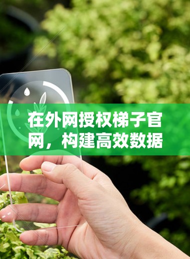 在外网授权梯子官网，构建高效数据传输的未来解决方案