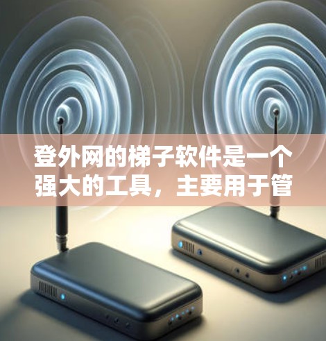 登外网的梯子软件是一个强大的工具，主要用于管理Web应用中的用户和权限。以下是对登外网梯子软件的详细介绍