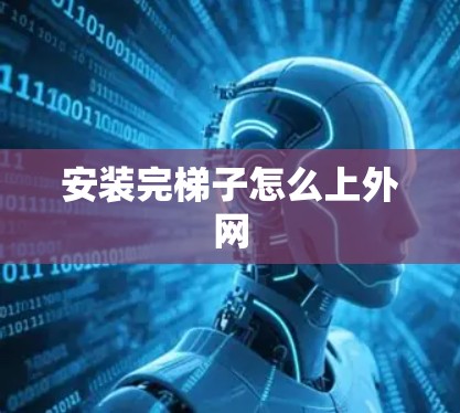 安装完梯子怎么上外网