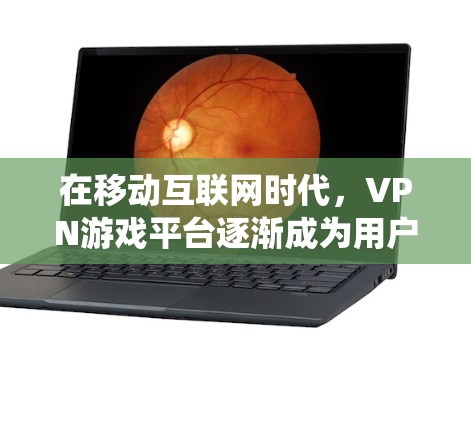 在移动互联网时代，VPN游戏平台逐渐成为用户在线游戏的重要工具。以下是对VPN游戏平台的系统性和特点的详细分析