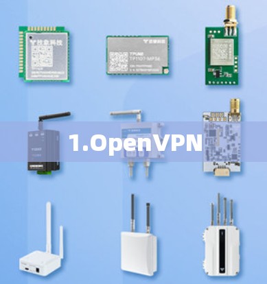 1.OpenVPN