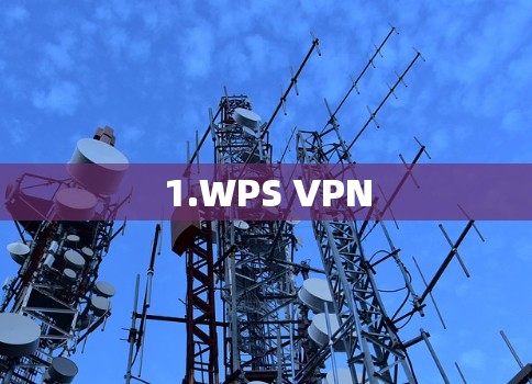 1.WPS VPN