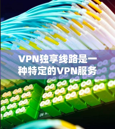 VPN独享线路是一种特定的VPN服务，通常与被监控设置或被限制访问设置相关。以下是对该主题的详细分析和建议