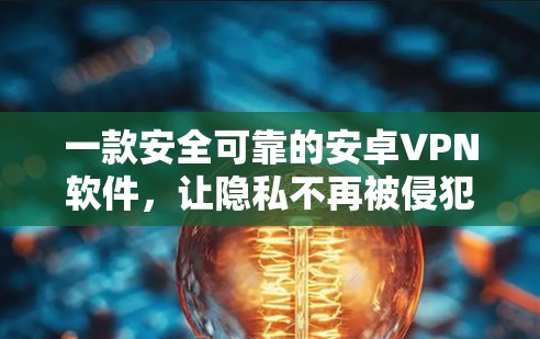 一款安全可靠的安卓VPN软件,让隐私不再被侵犯! 一款安全可靠的安卓VPN软件,让隐私不再被侵犯!