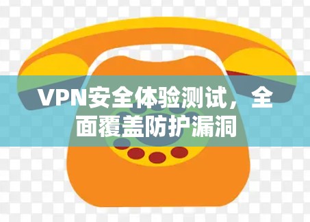 VPN安全体验测试，全面覆盖防护漏洞