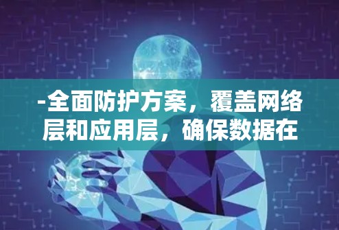 -全面防护方案，覆盖网络层和应用层，确保数据在传输过程中加密和加密