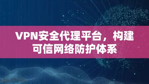 VPN安全代理平台，构建可信网络防护体系