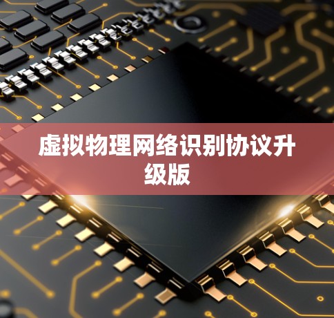 虚拟物理网络识别协议升级版