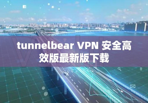 tunnelbear VPN 安全高效版最新版下载