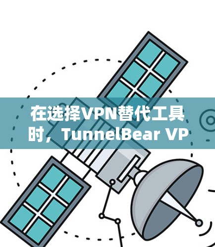 在选择VPN替代工具时，TunnelBear VPN作为原生服务，提供强大的加密和多设备访问功能。以下是一些可靠且灵活的替代工具，根据不同的需求进行选择